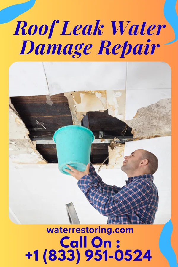 Roof Leak Water Damage Repair in Colton, WA